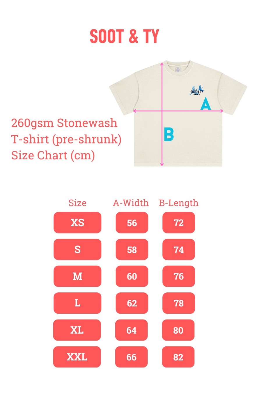 Stonewash Birds Ribbons Relaxed Fit T-Shirt